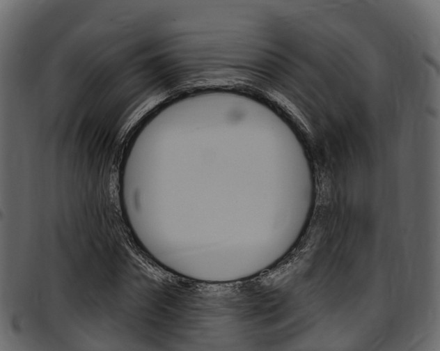X0000097610874200802290754