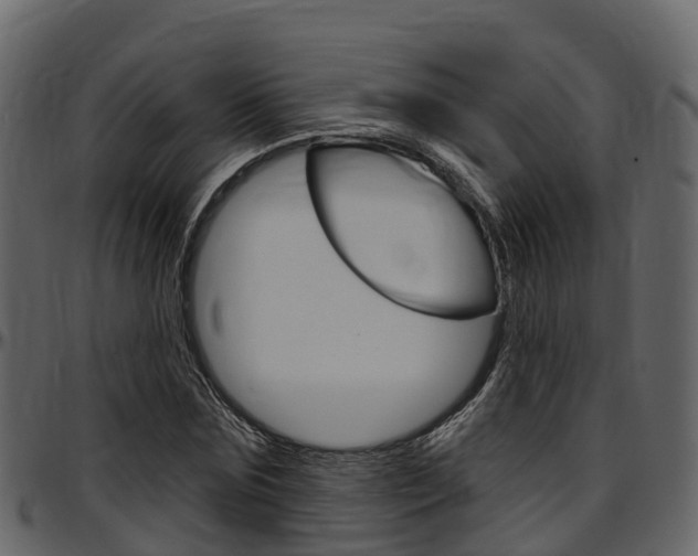 X0000097610875200802290754
