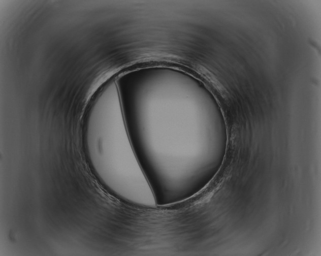 X0000097610877200802290753