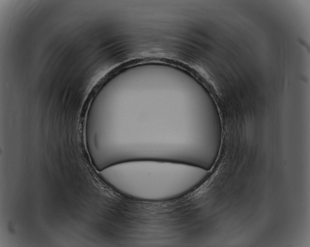 X0000097610879200802290753