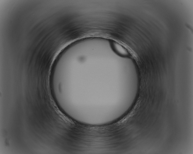 X0000097610880200802290753