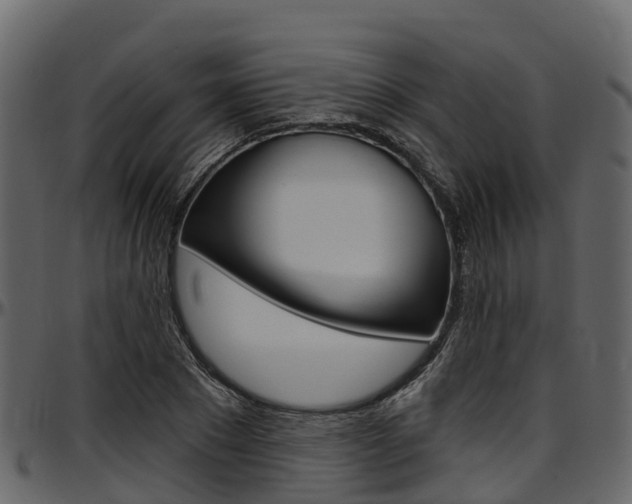X0000097610881200802290753