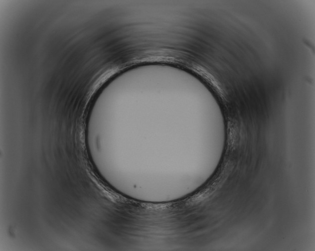 X0000097610882200802290753