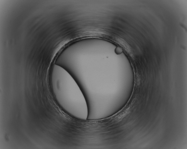 X0000097610883200802290753