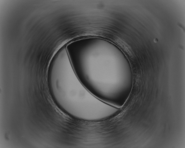 X0000097610884200802290753