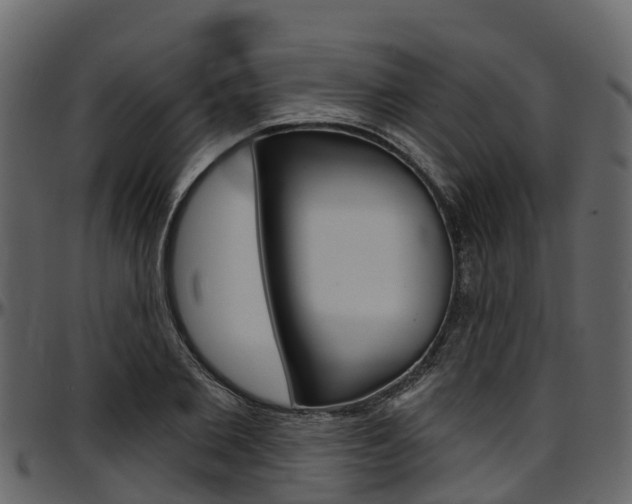X0000097610885200802290753