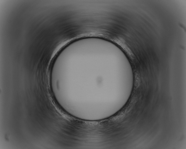 X0000097610886200802290753