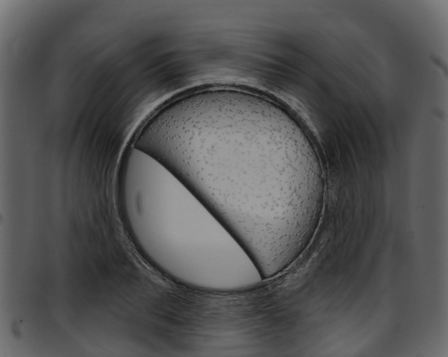X0000097610887200802290753