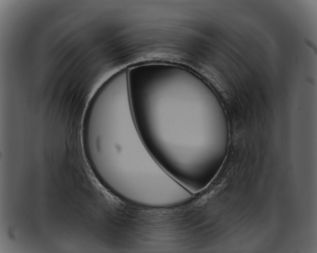 X0000097610888200802290753