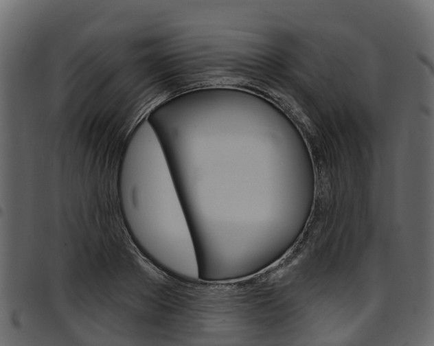 X0000097610889200802290753
