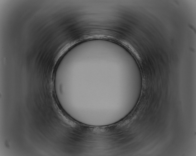 X0000097610890200802290753