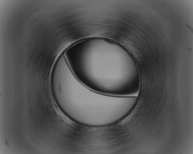 X0000097610892200802290753