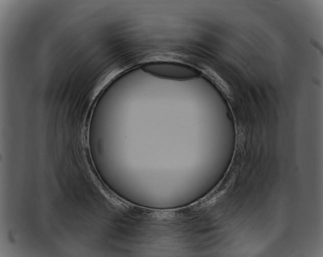X0000097610893200802290753