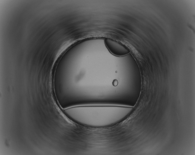 X0000097610894200802290753