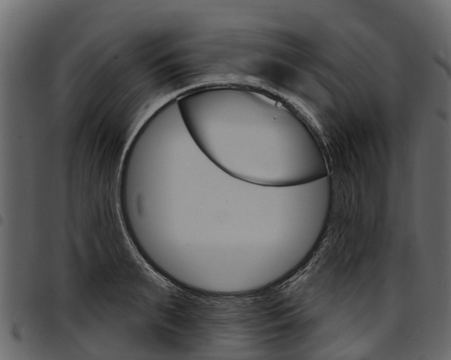 X0000097610895200802290753