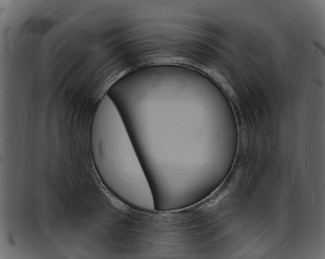 X0000097610897200802290753