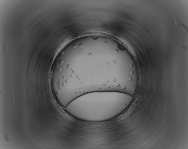 X0000097610899200802290753