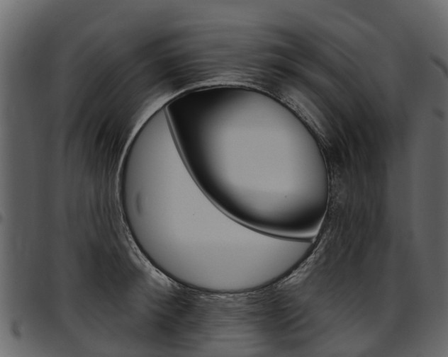 X0000097610900200802290753