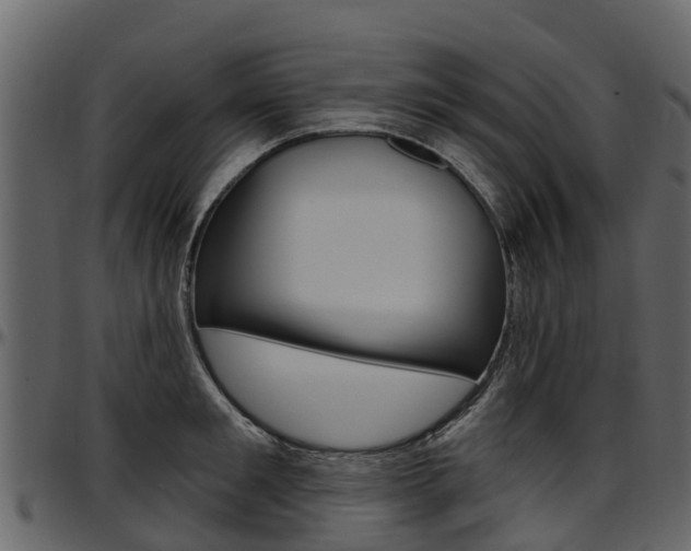 X0000097610901200802290753