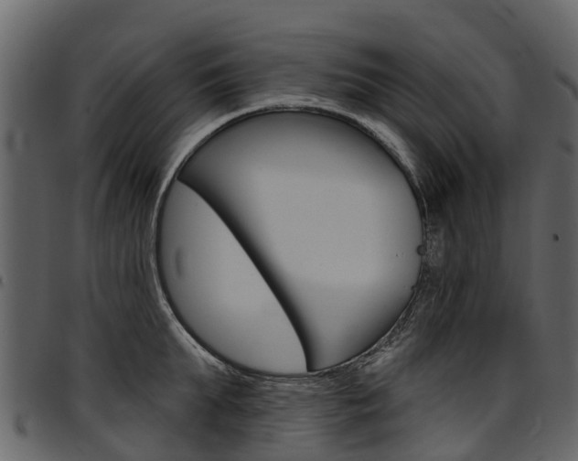 X0000097610903200802290753