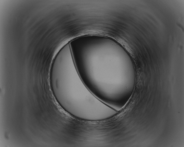 X0000097610904200802290753