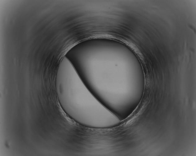 X0000097610905200802290753