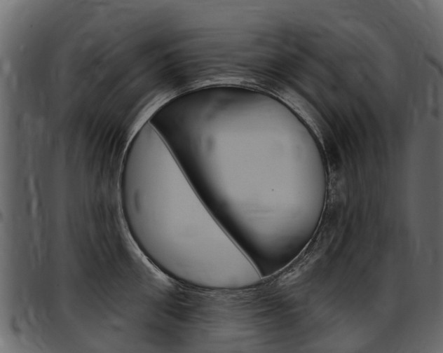 X0000097610906200802290753
