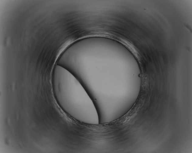 X0000097610907200802290753