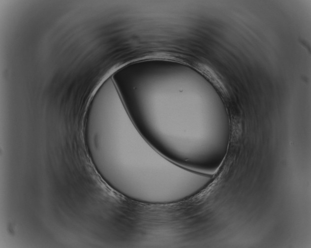 X0000097610908200802290753