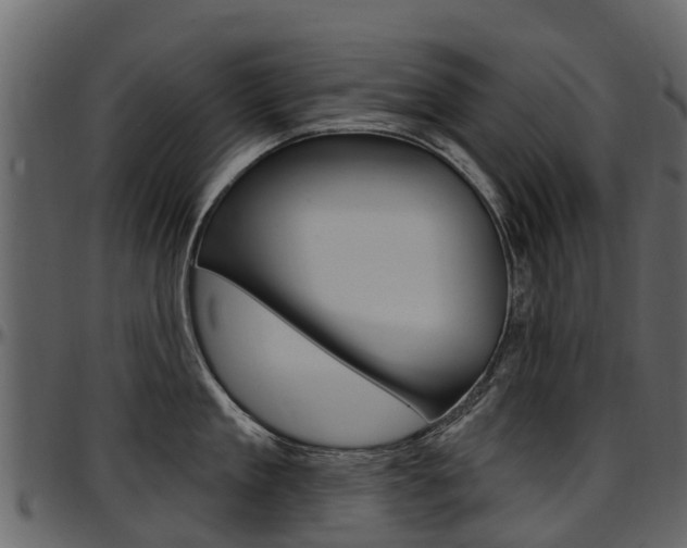 X0000097610909200802290753