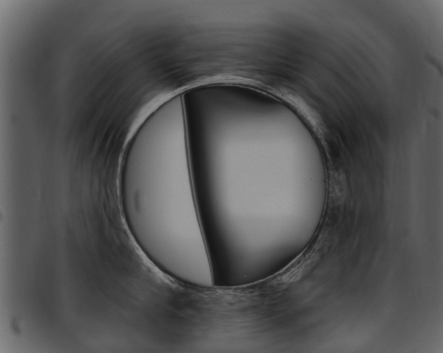 X0000097610910200802290753