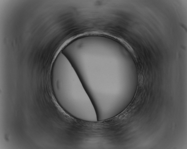 X0000097610911200802290753