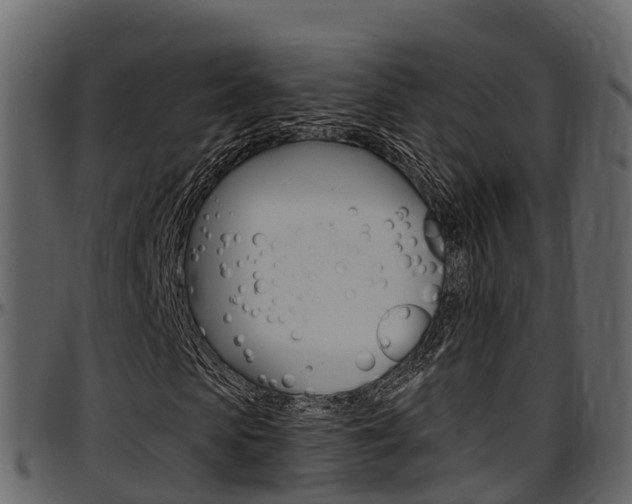 X0000097610913200802290752