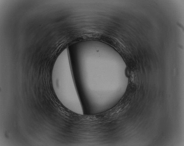 X0000097610915200802290752