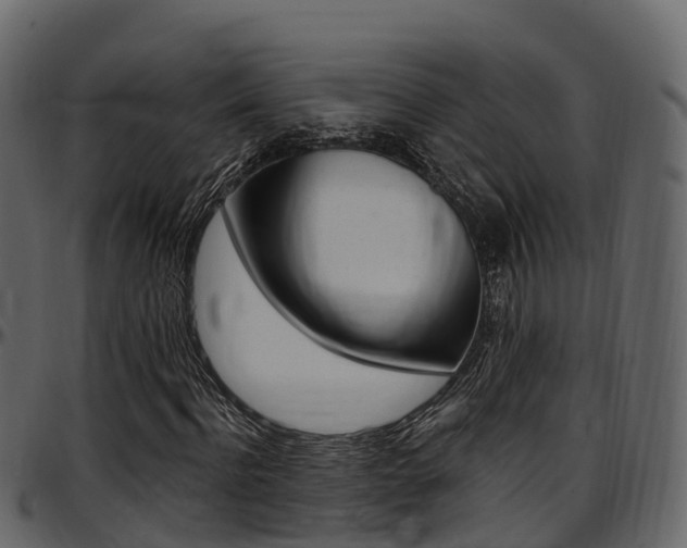 X0000097610916200802290752
