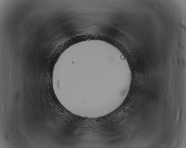 X0000097610918200802290752