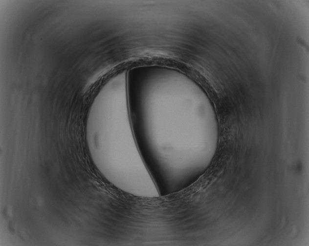 X0000097610919200802290752