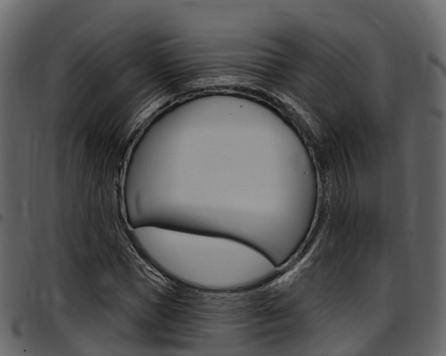 X0000097610921200802290752