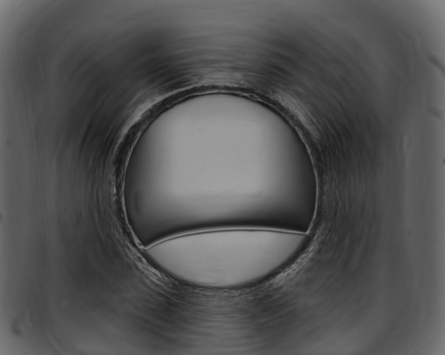 X0000097610923200802290752