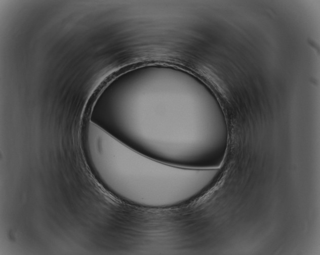 X0000097610924200802290752