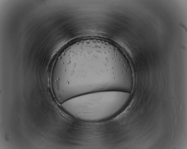 X0000097610925200802290752