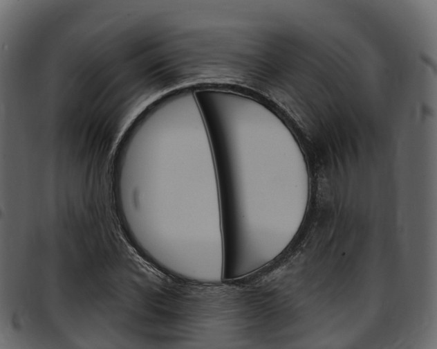 X0000097610926200802290752
