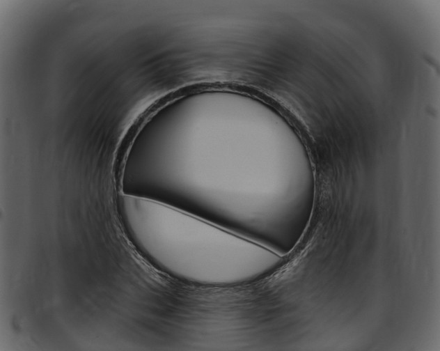 X0000097610927200802290752