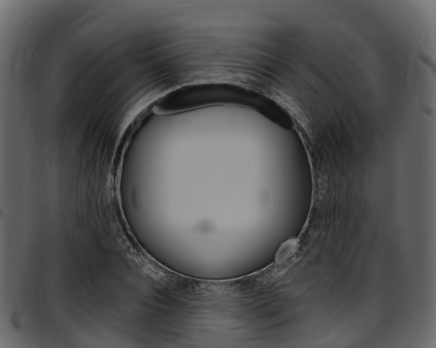 X0000097610928200802290752