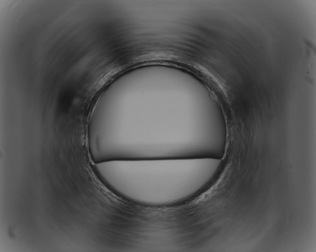 X0000097610929200802290752