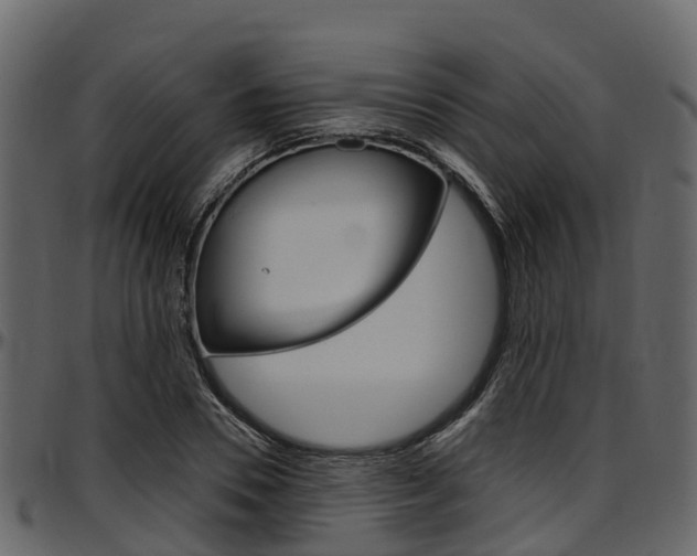 X0000097610930200802290752