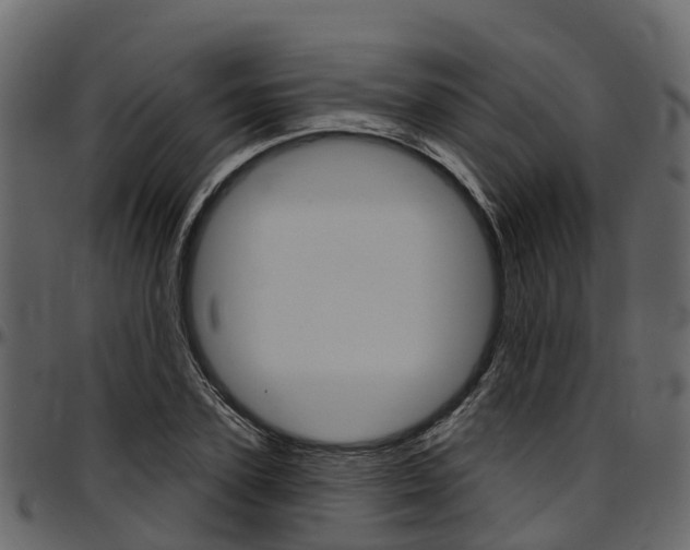 X0000097610931200802290752