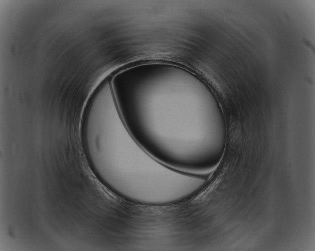 X0000097610932200802290752
