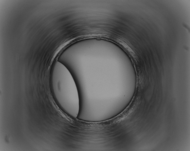 X0000097610933200802290752
