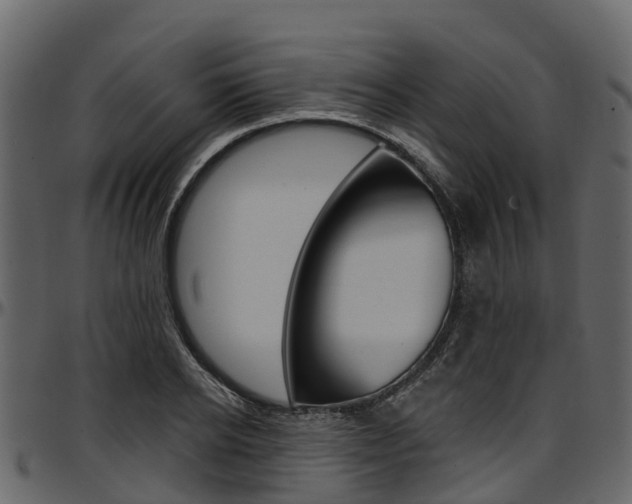 X0000097610934200802290752